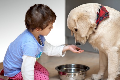 Ein Mädchen sitzt vor einem metallenen Napf und einem hellen Labrador. Sie streckt dem Hund die geöffnette Hand mit Leckerlis hin.